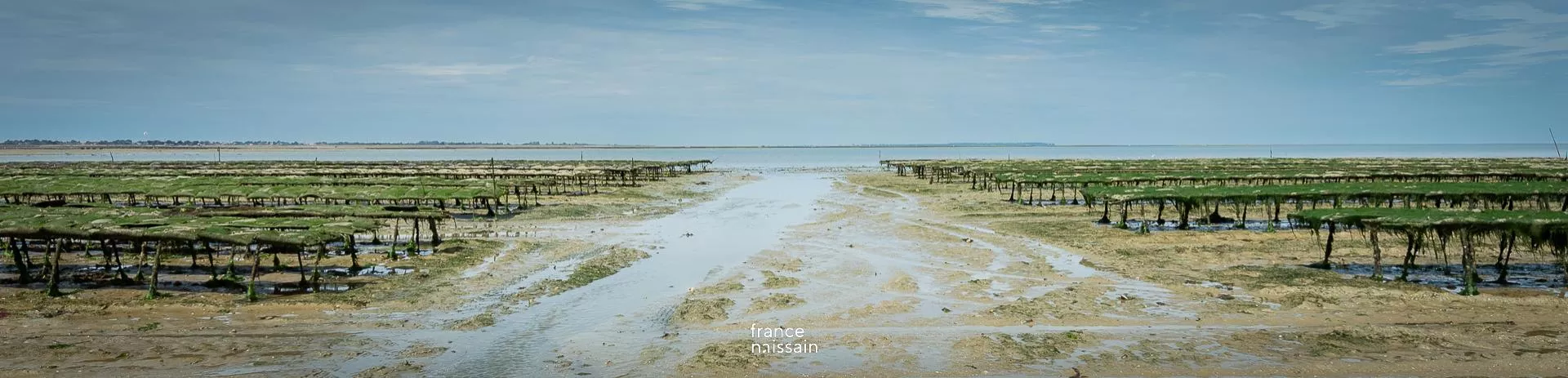Parcs ostréicoles en Vendée
