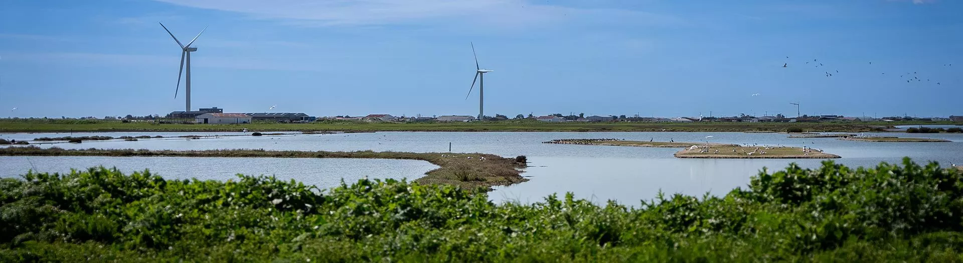 Protéger l'environnement
